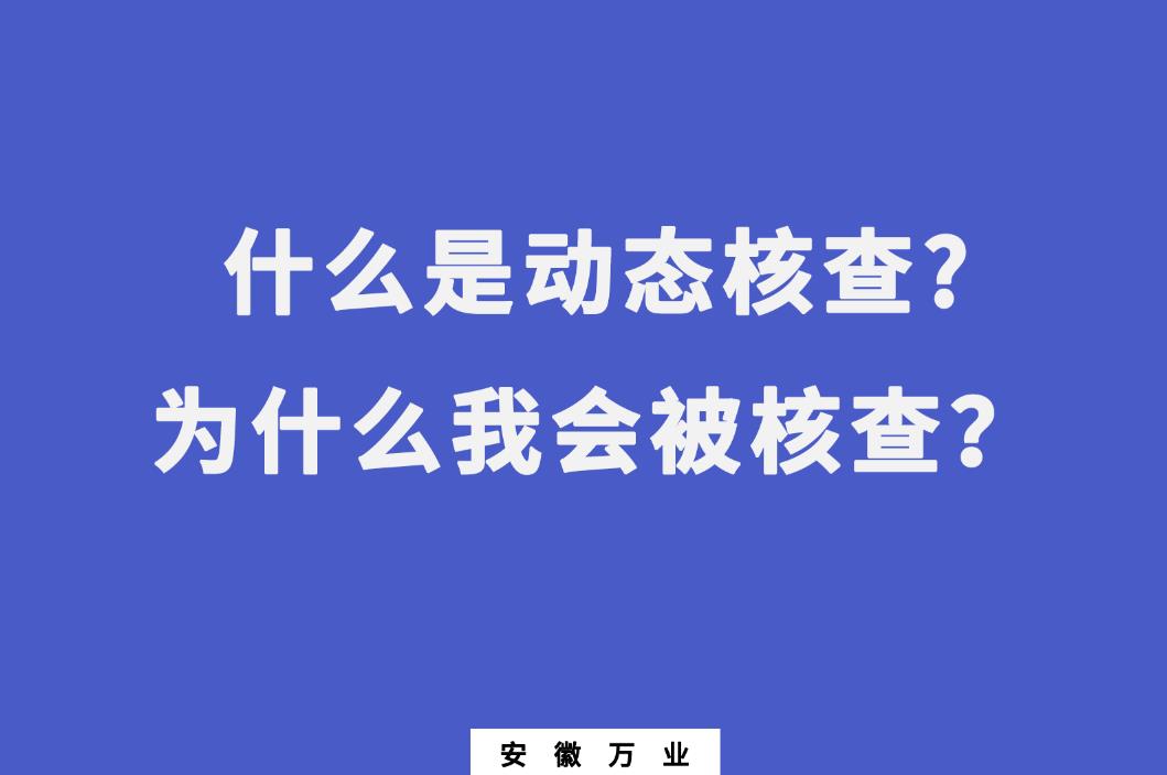 什么是動態核查?為什么我會被核查？